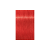 IGORA ROYAL 0-88 Czerwony Koncentrat Schwarzkopf 60 ml